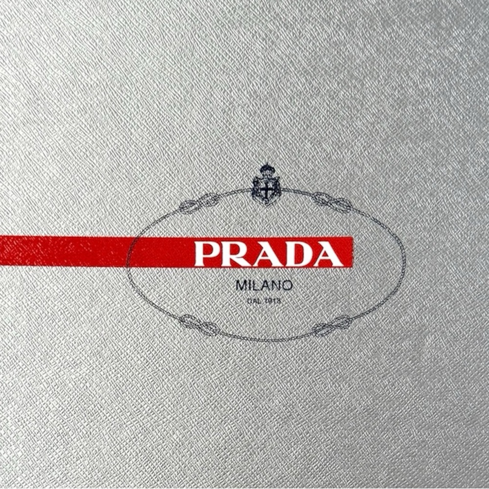 Prada Metallic Silver Logo Front Box Shoes Storage